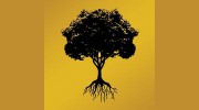 Wild Roots Fine Arts Center