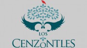 Los Cenzontles Mexican Arts