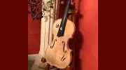 Importuno Violins
