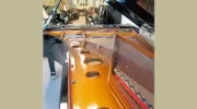 Daves Piano Showroom